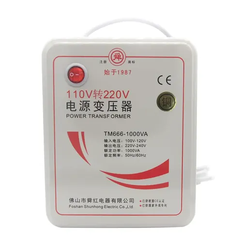 Beduan 110V to 220V Step Up Converter Voltage